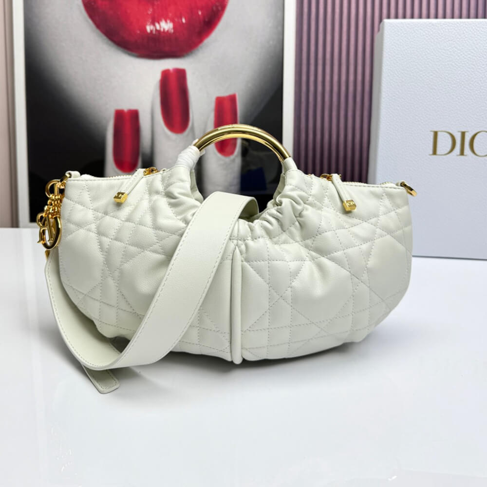 Dior Walk in Dior Purse